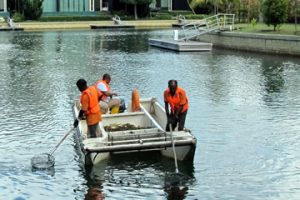 Floatsam-grit-screening-pond-lake-river-cleaning