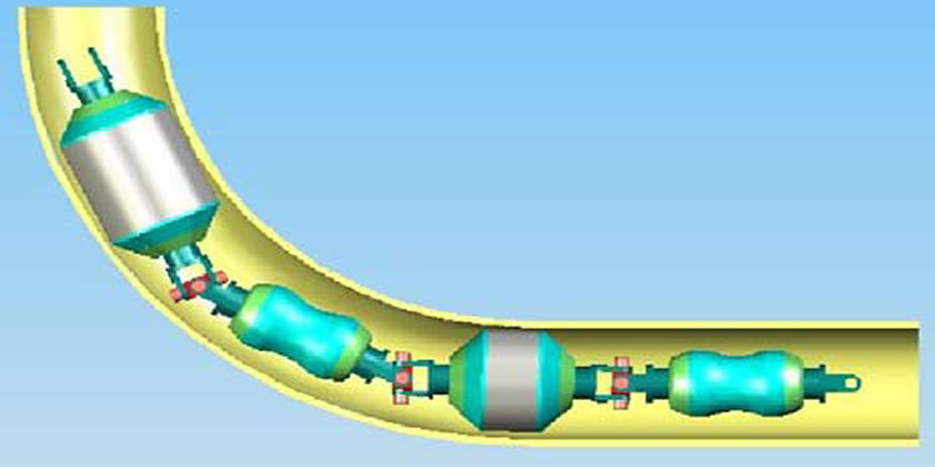 RFT-seasnake-lianshing-3